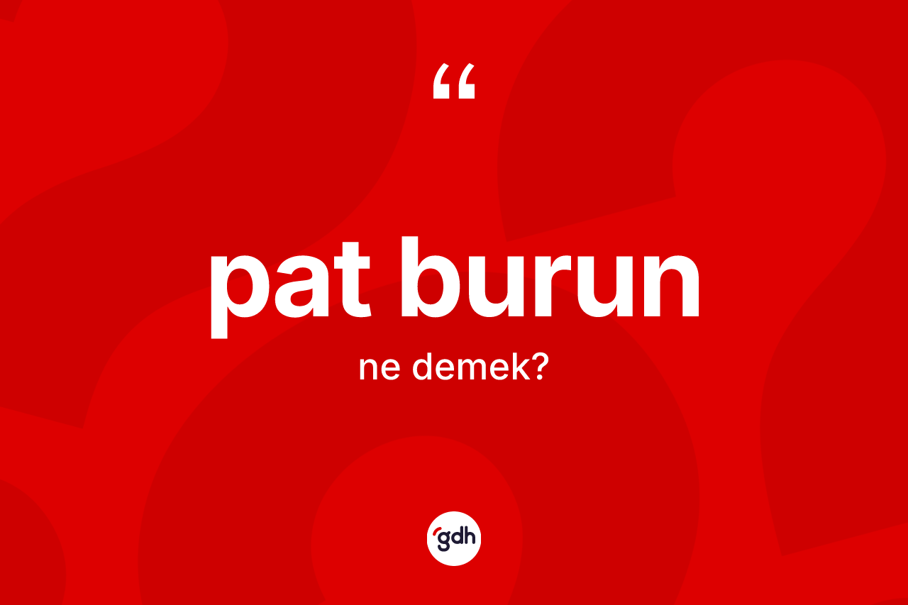 Pat burun ne anlama gelir? Pat burun kelimesinin TDK'ya göre açıklaması nedir?