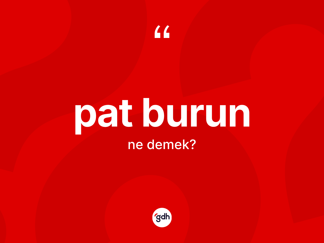 Pat burun ne anlama gelir? Pat burun kelimesinin TDK'ya göre açıklaması nedir?