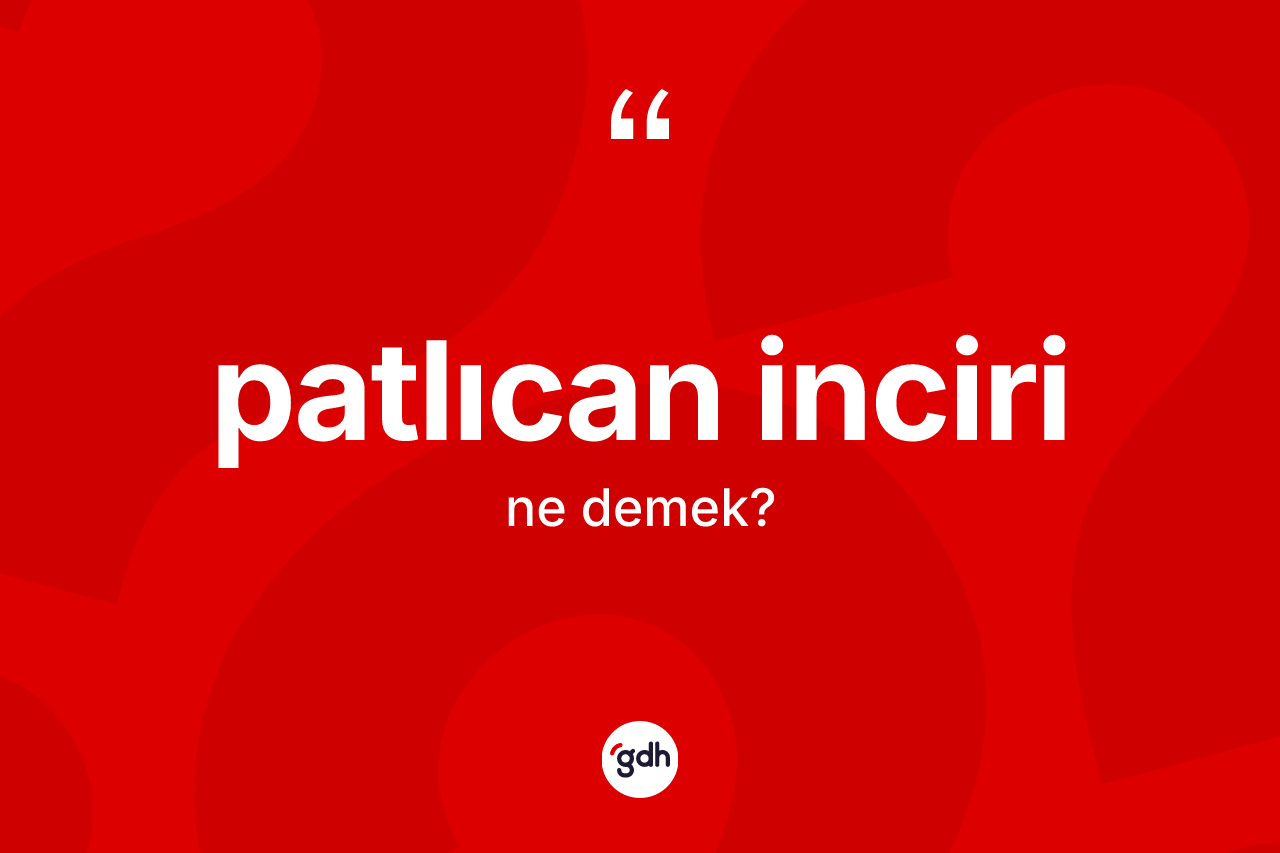 Patlıcan inciri kelimesinin sözlükteki tanımı nedir? Patlıcan inciri kelimesinin kaç farklı anlamı var?