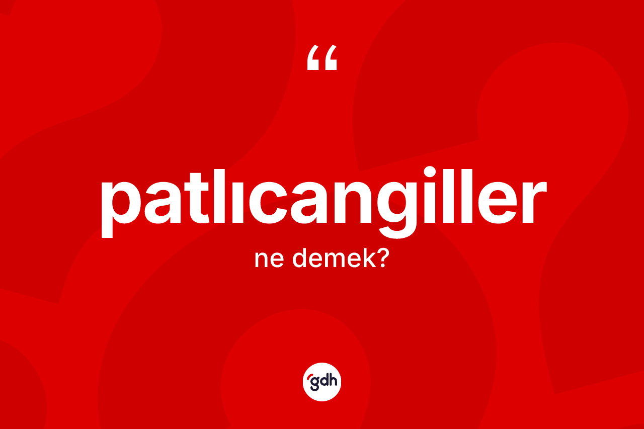 Patlıcangiller kelimesinin anlamı nedir? Patlıcangillerin TDK'ya göre anlamı nedir?