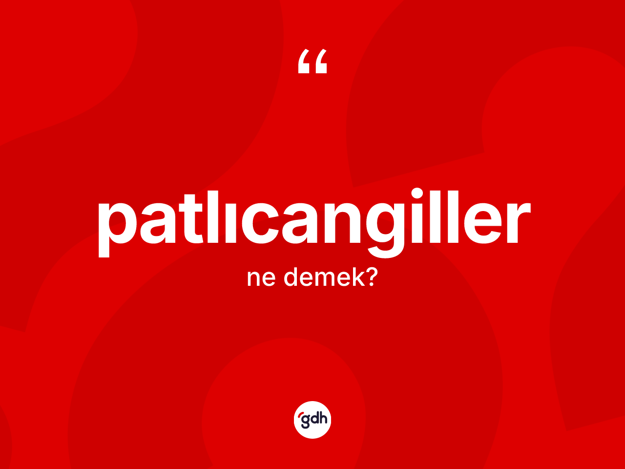 Patlıcangiller kelimesinin anlamı nedir? Patlıcangillerin TDK'ya göre anlamı nedir?