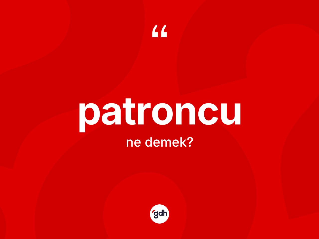 Patroncu kelimesinin sözlükteki tanımı nedir? Patroncu kelimesinin TDK'ya göre açıklaması nedir?