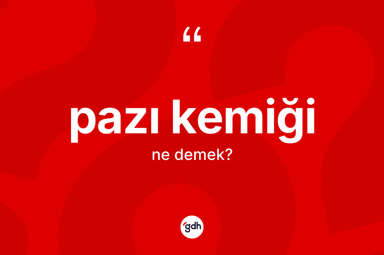 Pazı kemiği kelimesinin tanımı nedir? Pazı kemiğinin kısaca tanımı nedir?