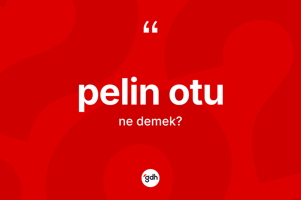 Pelin otu ne demek? Pelin otunun TDK'ya göre anlamı nedir?