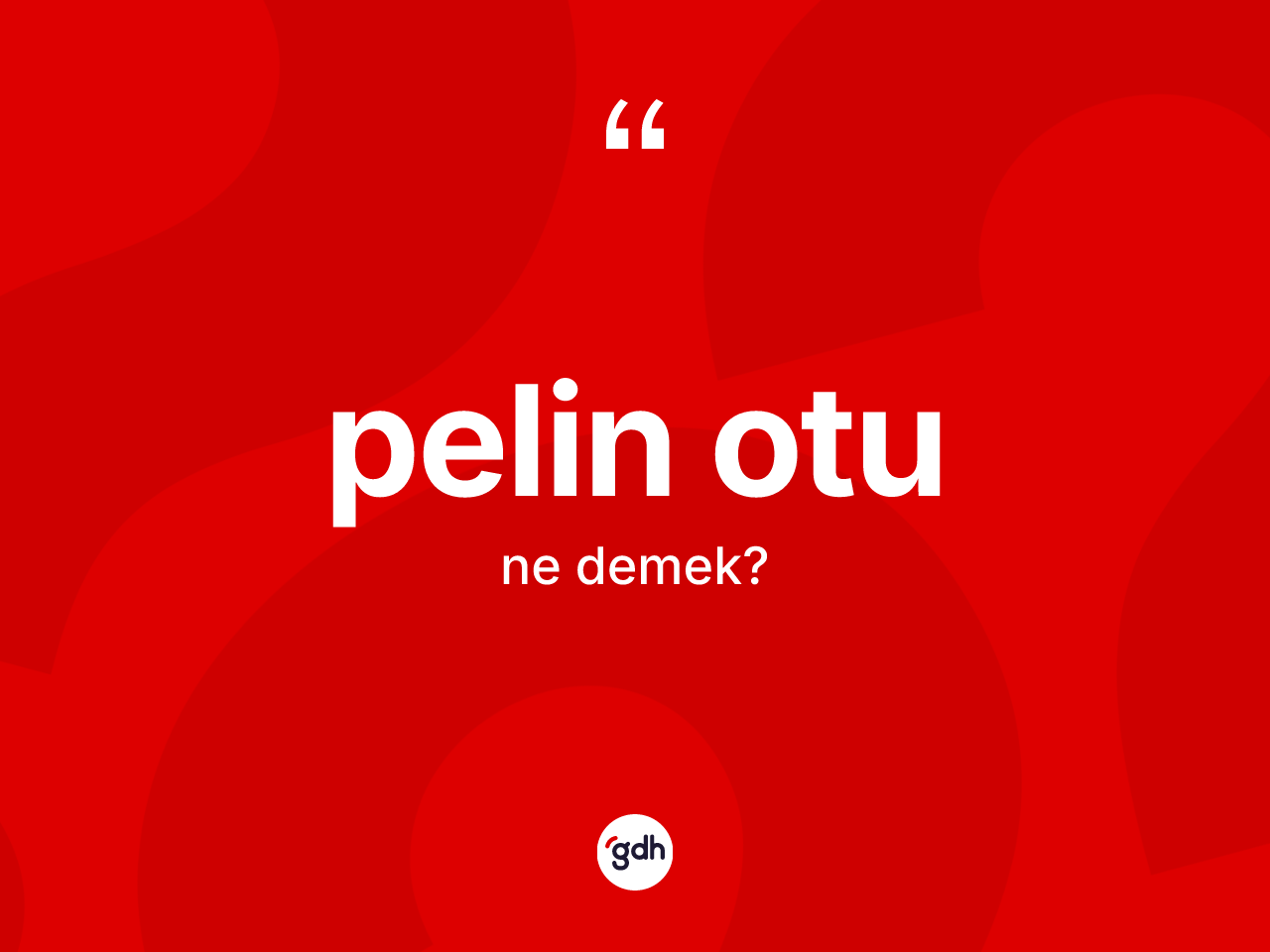 Pelin otu ne demek? Pelin otunun TDK'ya göre anlamı nedir?