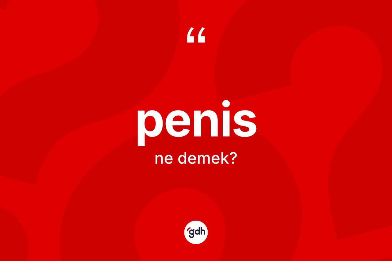 Penis kelimesi nedir? Penis kelimesinin TDK'ya göre açıklaması nedir?