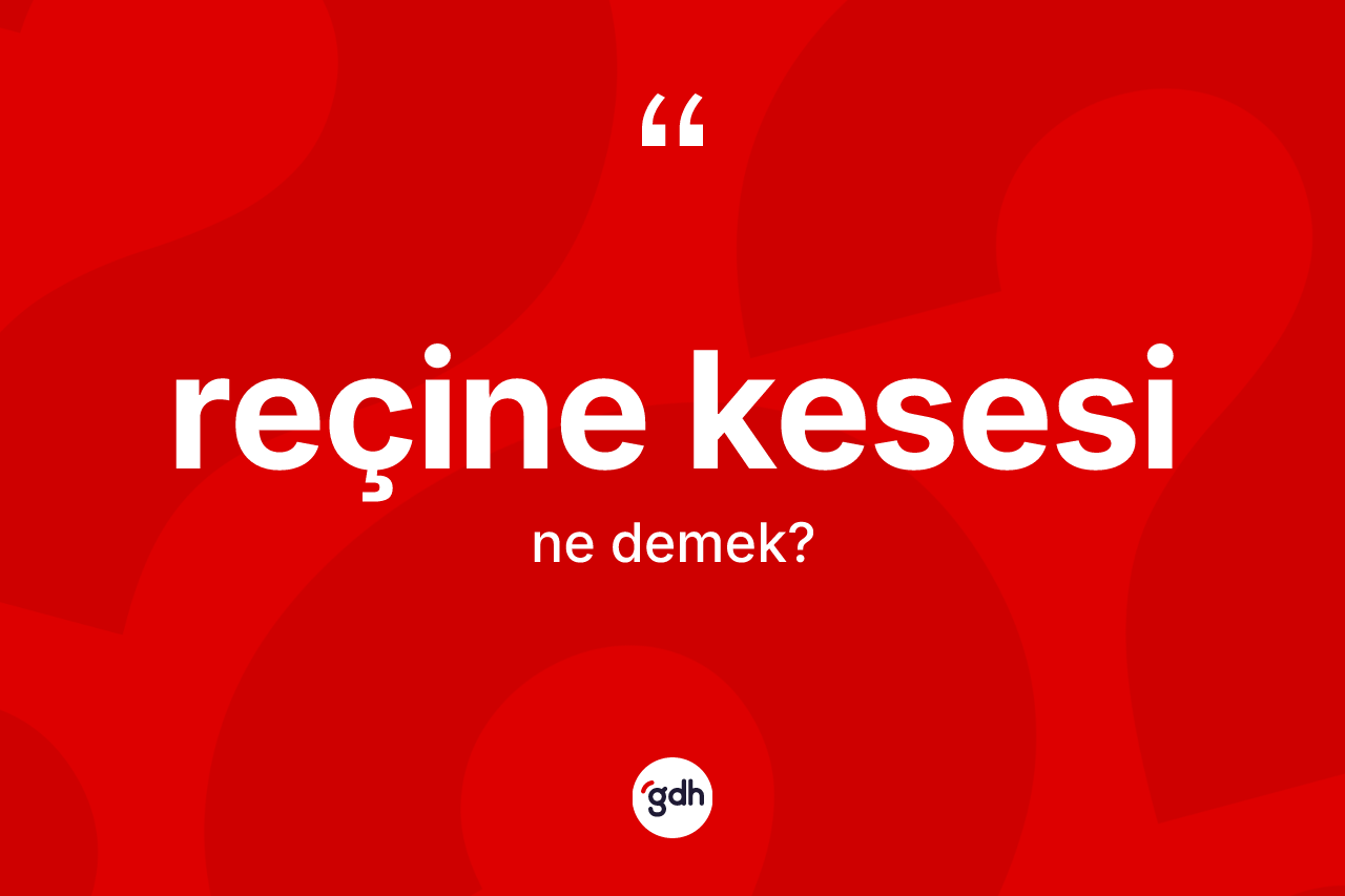 Reçine kesesi kelimesi ne demek? Reçine kesesi kelimesinin TDK anlamı nedir?