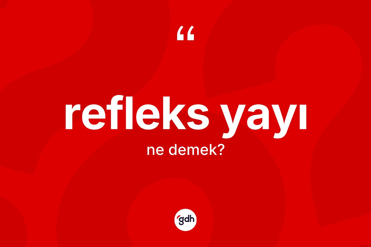Refleks yayı ne anlama gelir? Refleks yayı kelimesinin TDK'ya göre açıklaması nedir?