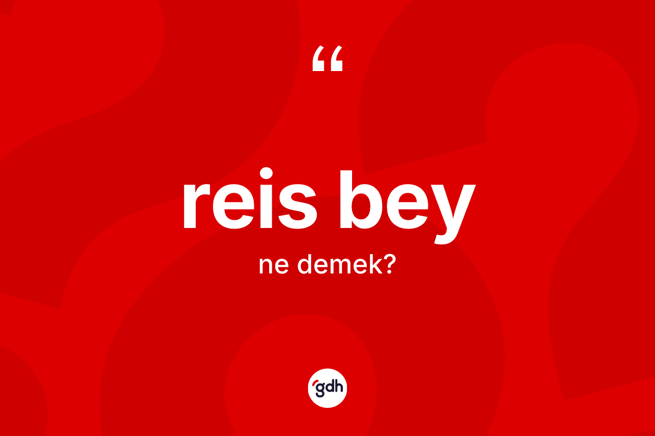 Reis bey nedir? Reis beyin TDK'ya göre anlamı nedir?
