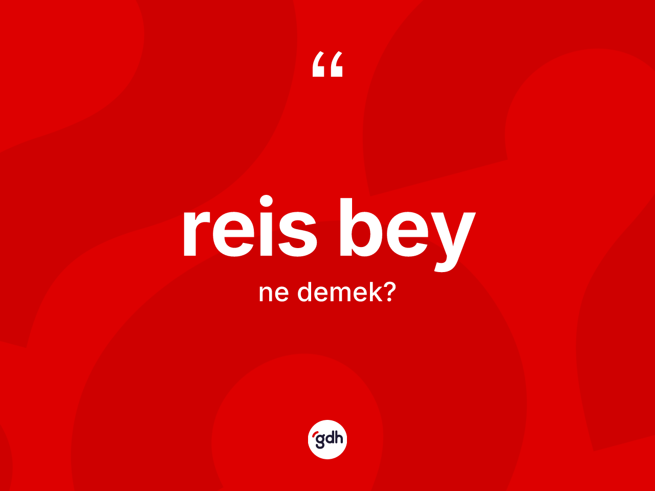 Reis bey nedir? Reis beyin TDK'ya göre anlamı nedir?