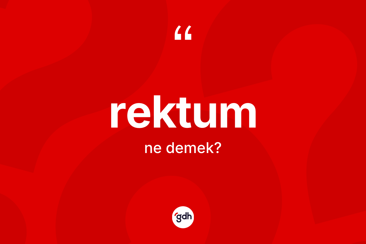 Rektum kelimesi ne demek? Rektum kelimesinin TDK'ya göre açıklaması nedir?