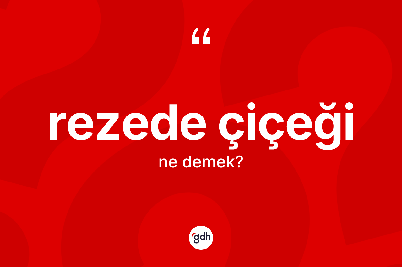 Rezede çiçeği kelimesinin sözlükteki tanımı nedir? Rezede çiçeğinin halk arasındaki kullanımı nasıldır?