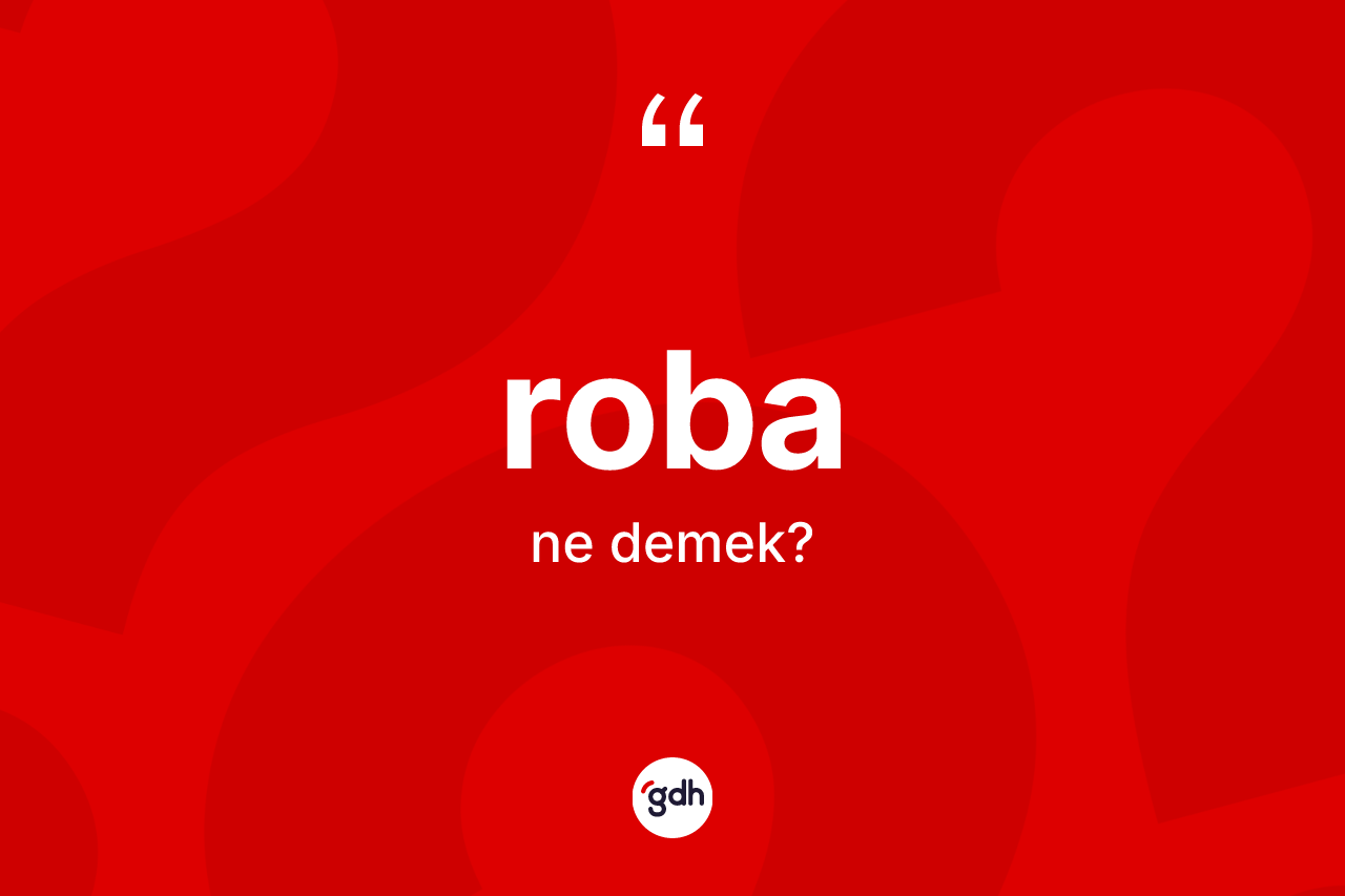 Roba ne anlama gelir? Robanın TDK'ya göre anlamı nedir?