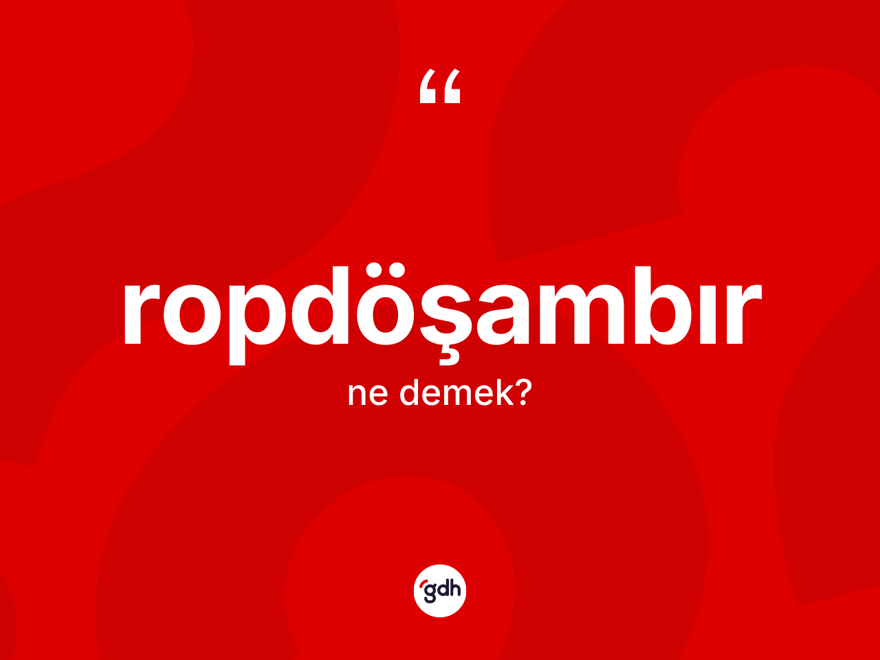 Ropdöşambır kelimesi ne demek? Ropdöşambırın TDK'ya göre anlamı nedir?