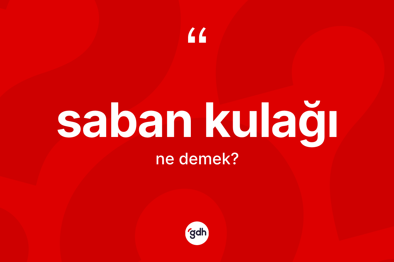Saban kulağı kelimesinin sözlükteki tanımı nedir? Saban kulağının kısaca tanımı nedir?