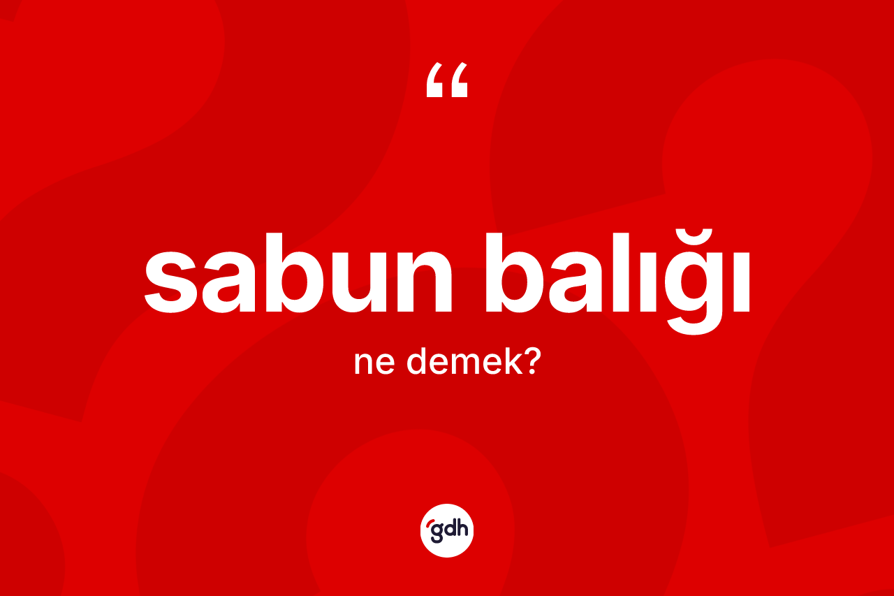 Sabun balığı ne anlama gelir? Sabun balığı kelimesinin TDK anlamı nedir?