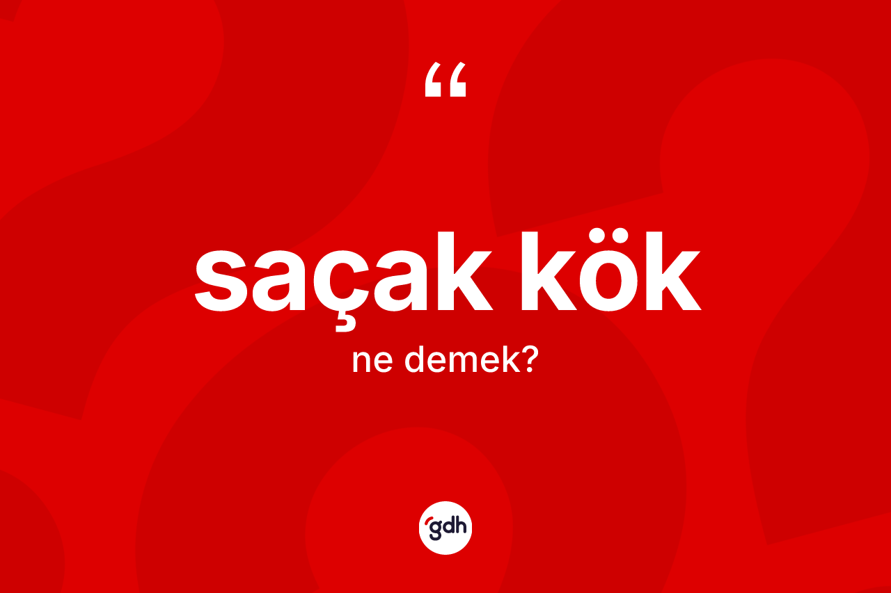 Saçak kök kelimesi ne demek? Saçak köğün kısaca tanımı nedir?