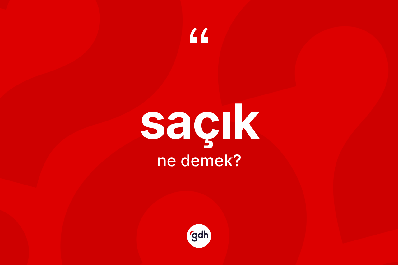 Saçık kelimesi ne demek? Saçık kelimesinin kaç farklı anlamı var?