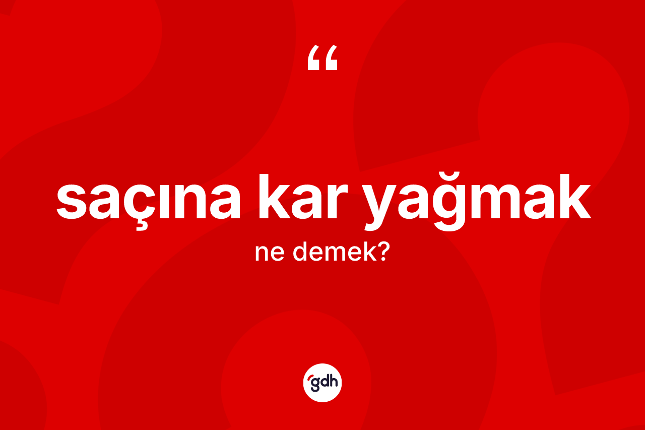 Saçına kar yağmak ifadesinin sözlükteki anlamı nedir? Saçına kar yağmak ifadesinin TDK anlamı nedir?