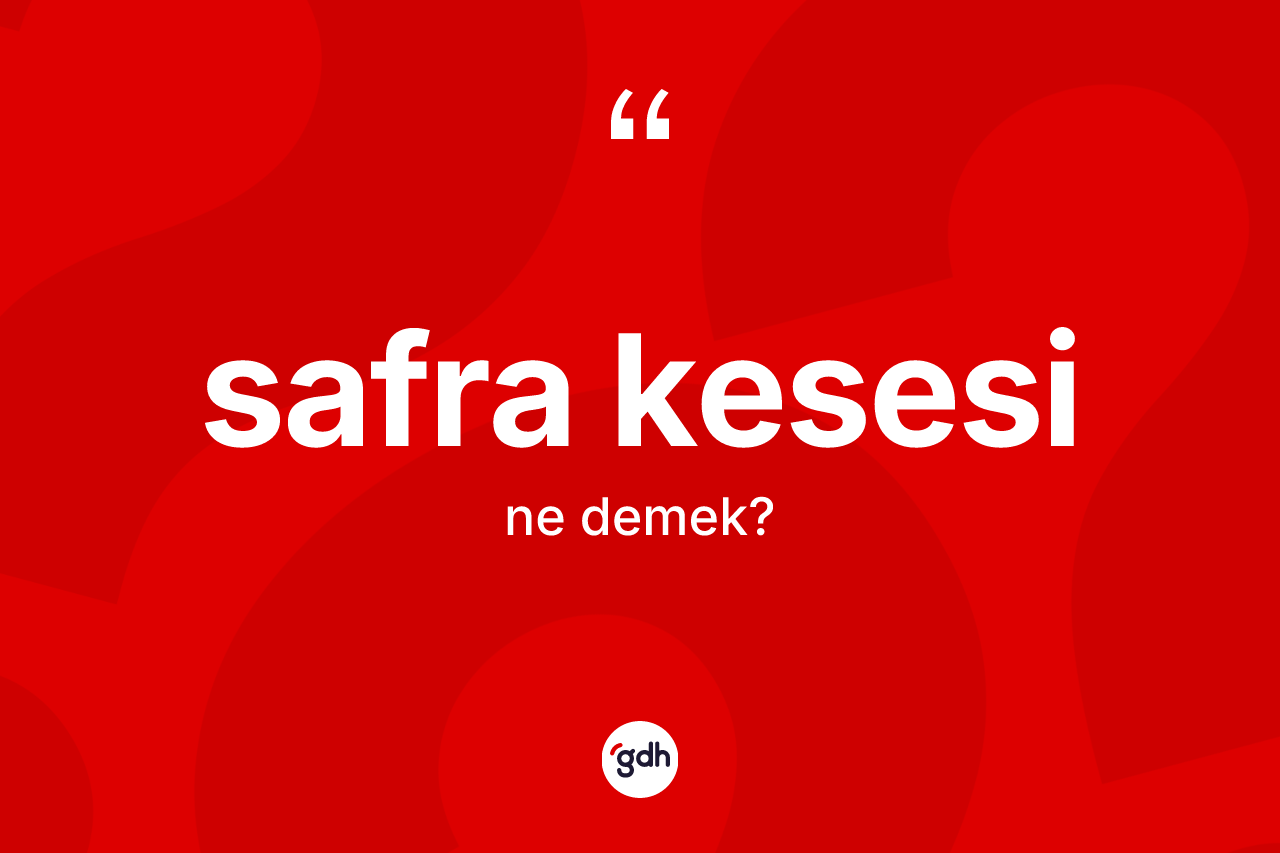 Safra kesesi kelimesi ne anlama gelir? Safra kesesinin kısaca tanımı nedir?