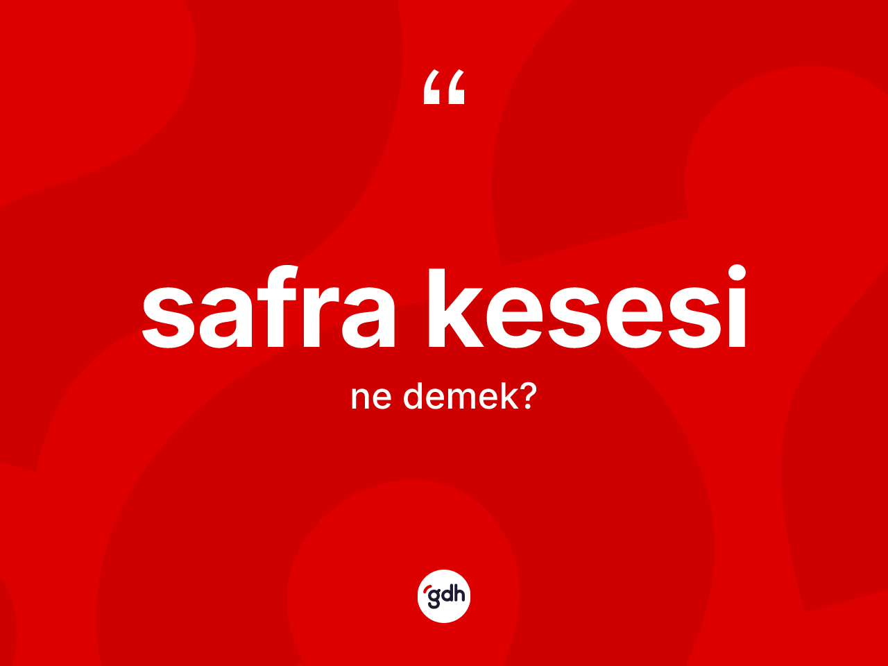 Safra kesesi kelimesi ne anlama gelir? Safra kesesinin kısaca tanımı nedir?