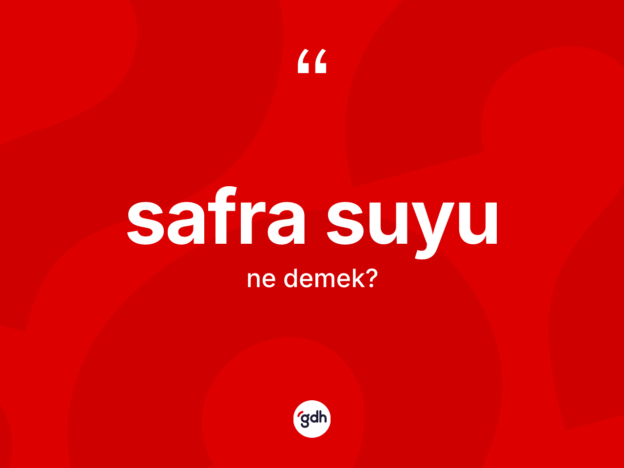 Safra suyu kelimesinin tanımı nedir? Safra suyunun kısaca tanımı nedir?