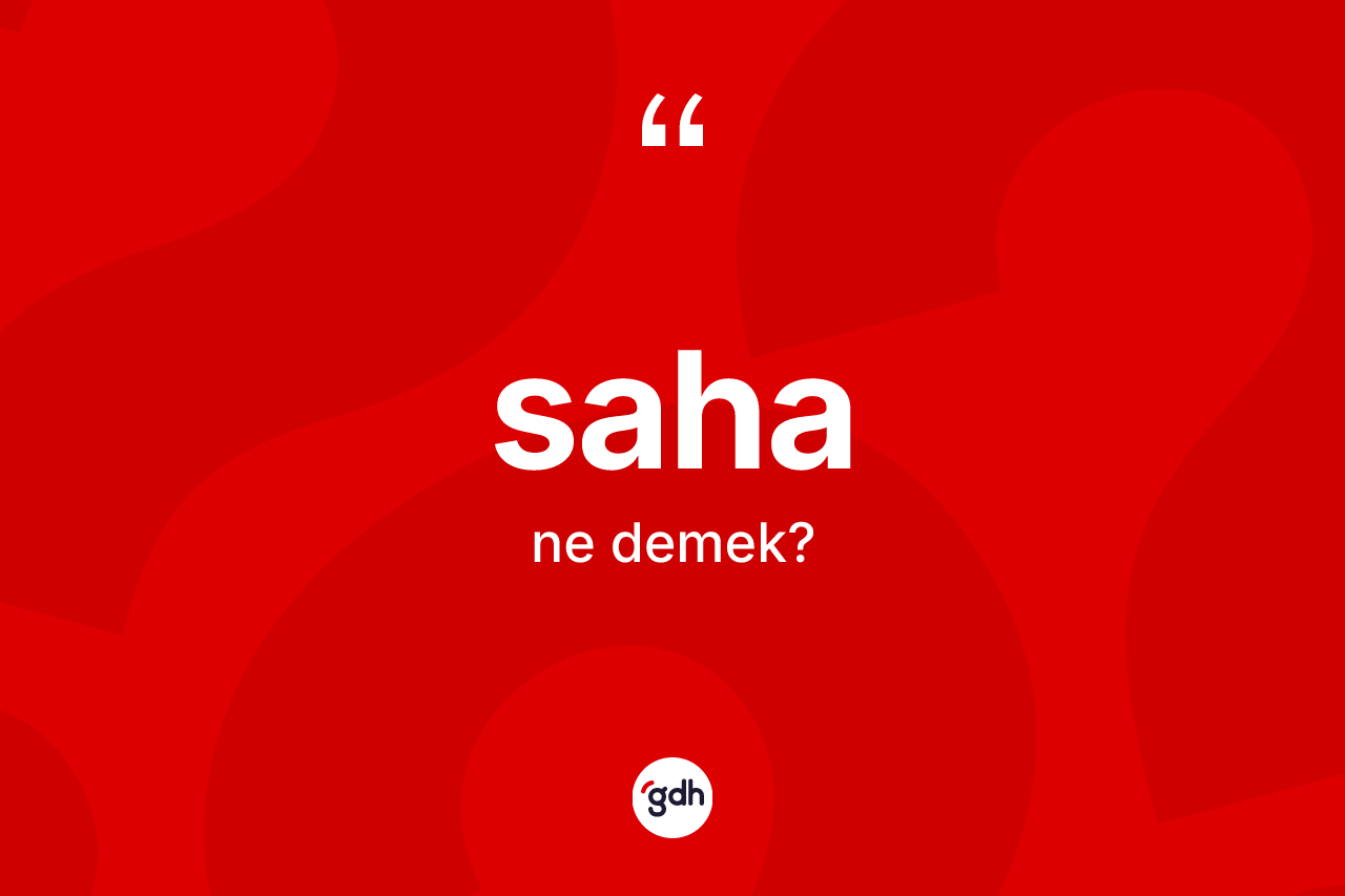 Saha nedir? Saha kelimesinin TDK anlamı nedir?