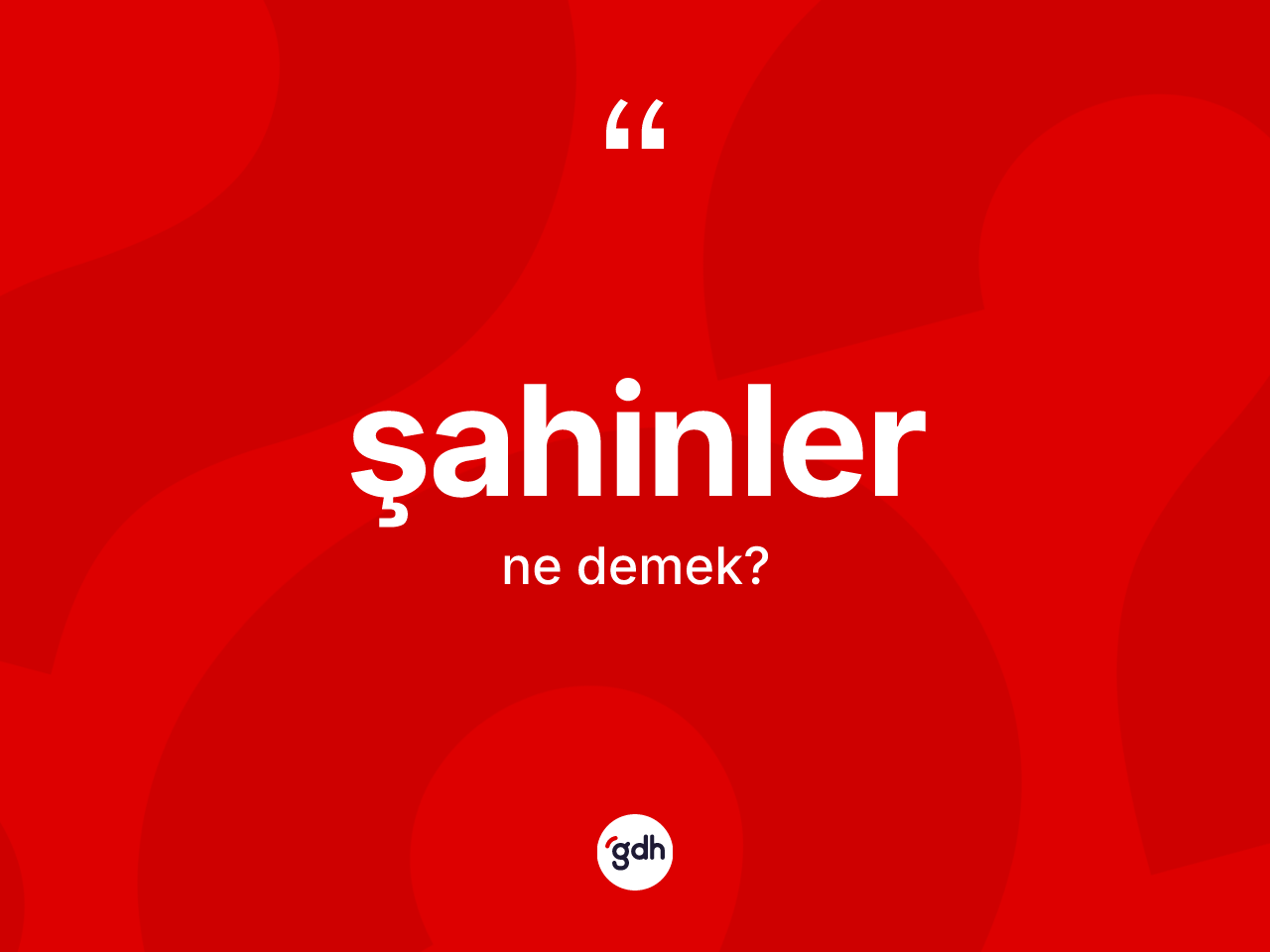 Şahinler kelimesinin anlamı nedir? Şahinlerin kısaca tanımı nedir?
