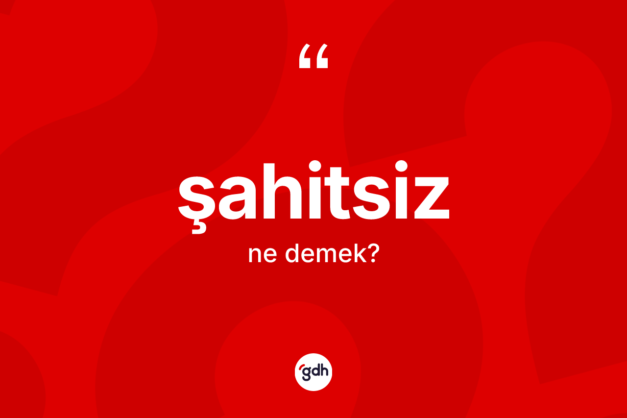 Şahitsiz kelimesinin tanımı nedir? Şahitsiz kelimesinin TDK'ya göre açıklaması nedir?
