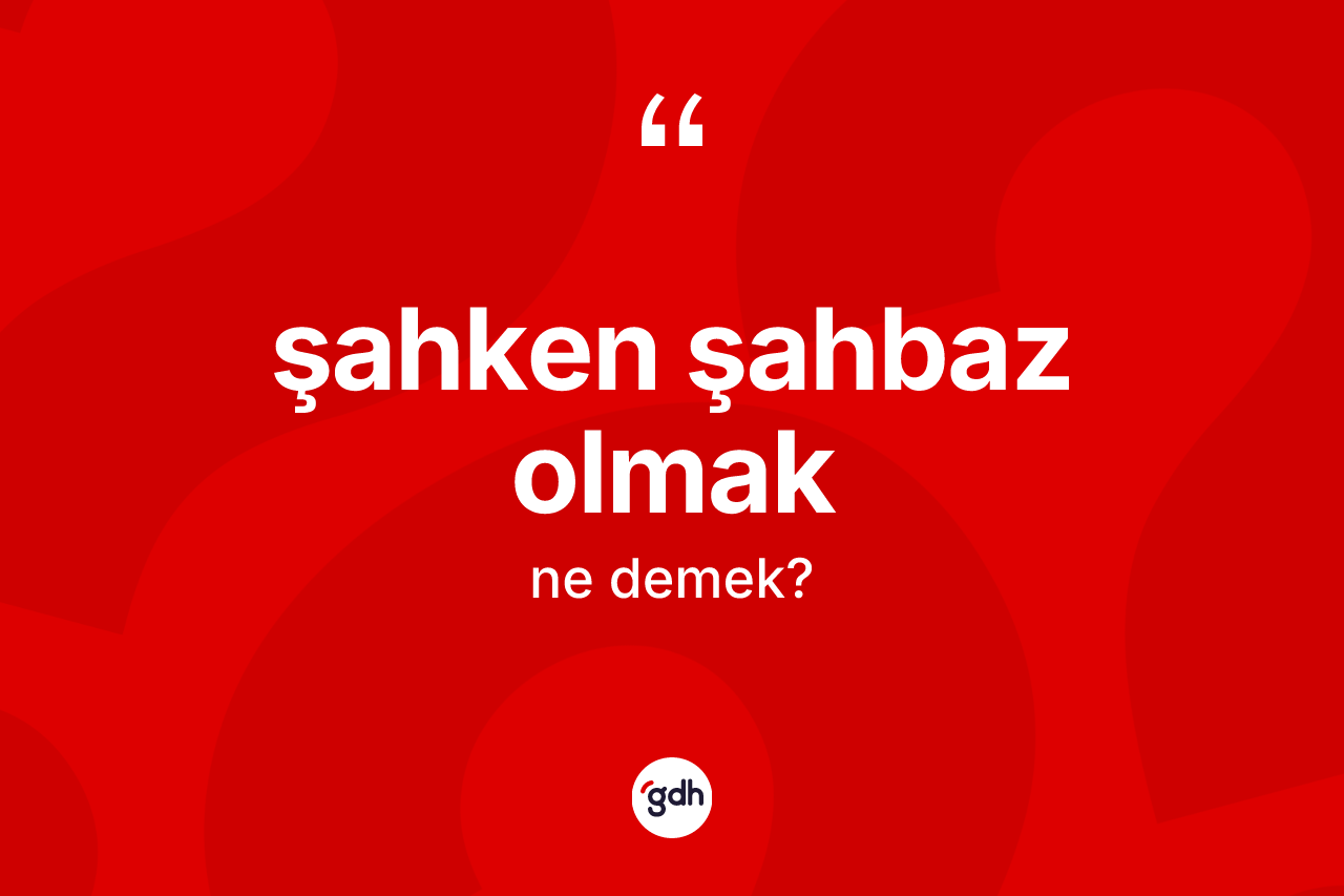 Şahken şahbaz olmak ifadesinin sözlükteki anlamı nedir? Şahken şahbaz olmak ifadesi nerede kullanılır?
