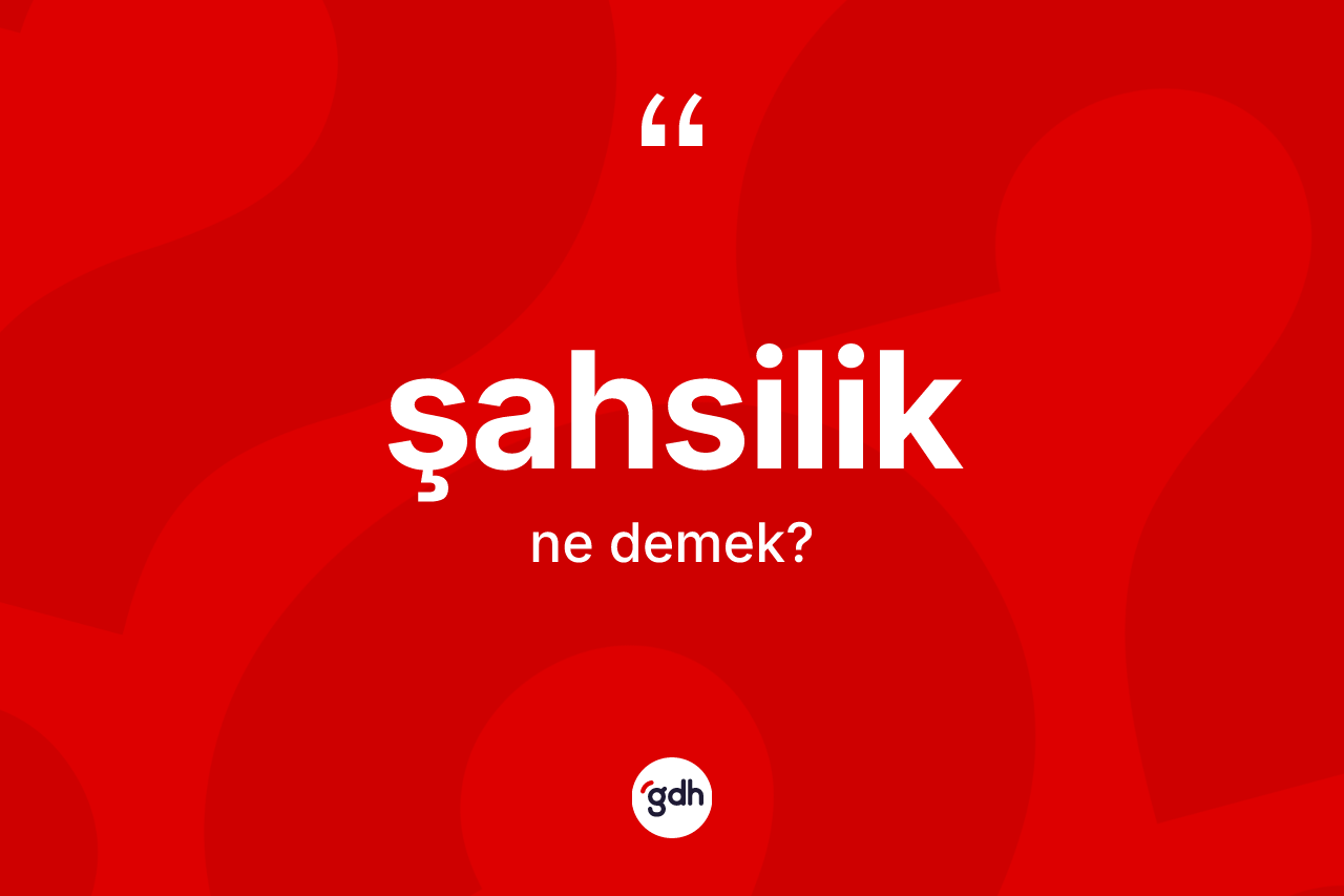Şahsilik kelimesinin anlamı nedir? Şahsiliğin TDK'ya göre anlamı nedir?