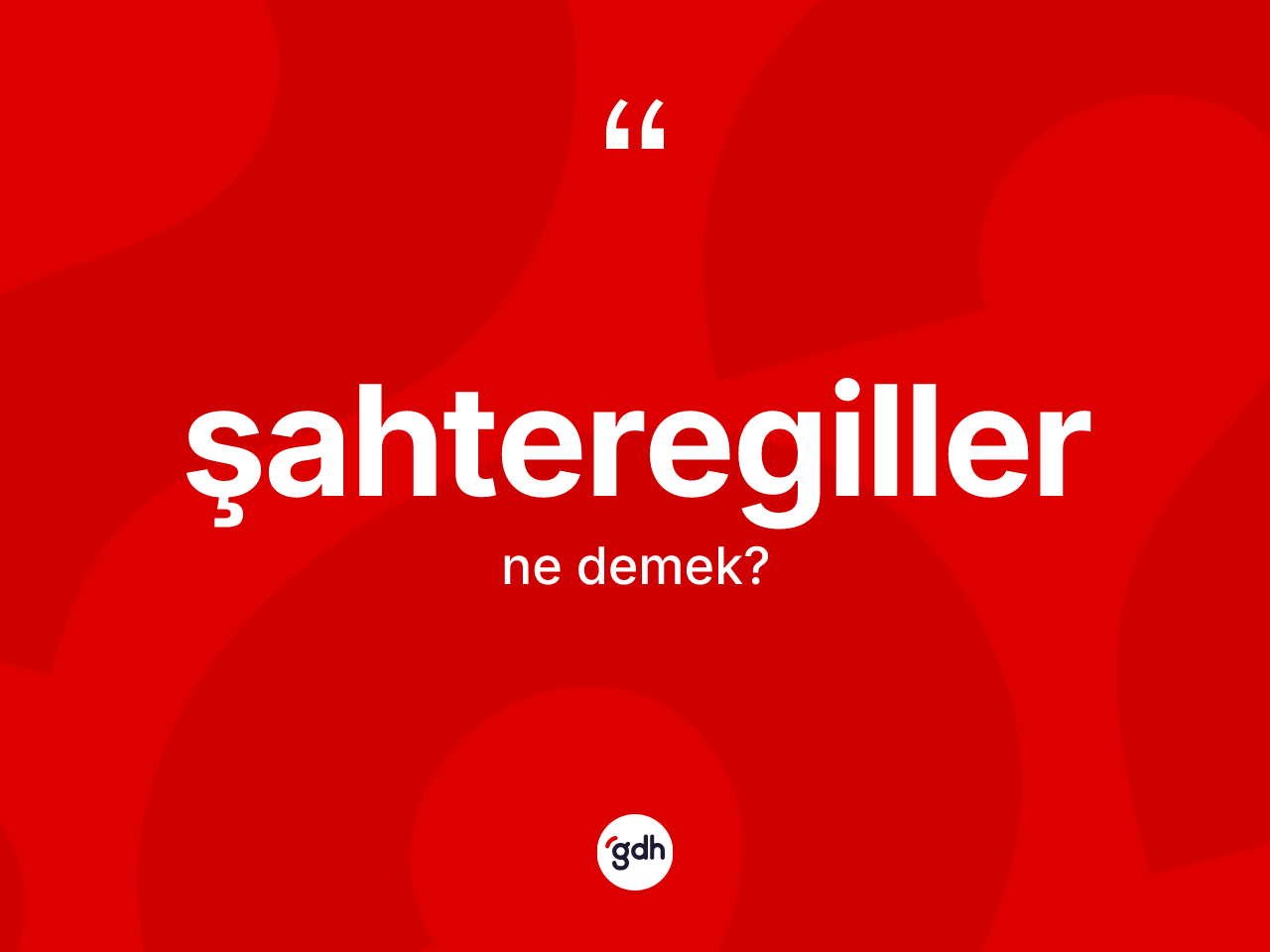 Şahteregiller kelimesinin tanımı nedir? Şahteregillerin halk arasındaki kullanımı nasıldır?