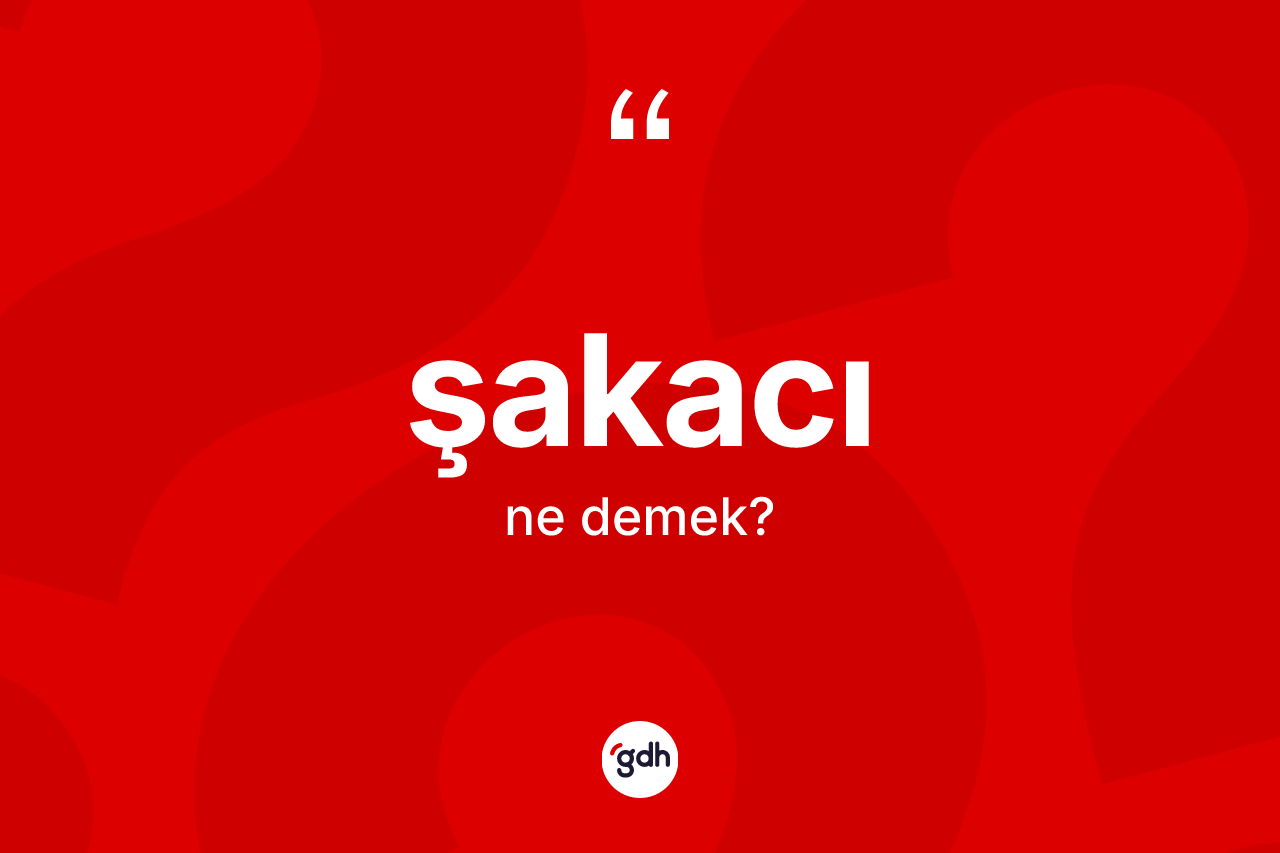 Şakacı ne anlama gelir? Şakacının TDK'ya göre anlamı nedir?