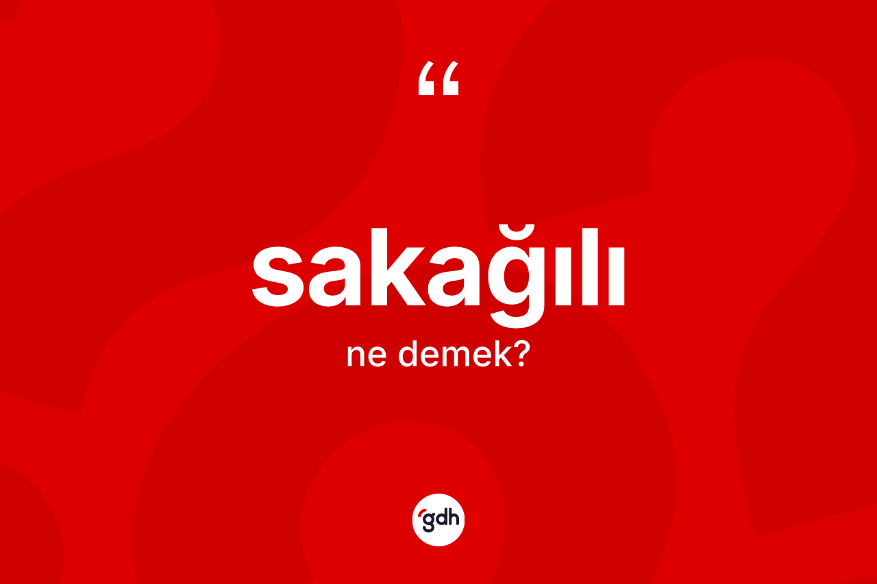 Sakağılı kelimesinin anlamı nedir? Sakağılı kelimesinin TDK'ya göre açıklaması nedir?