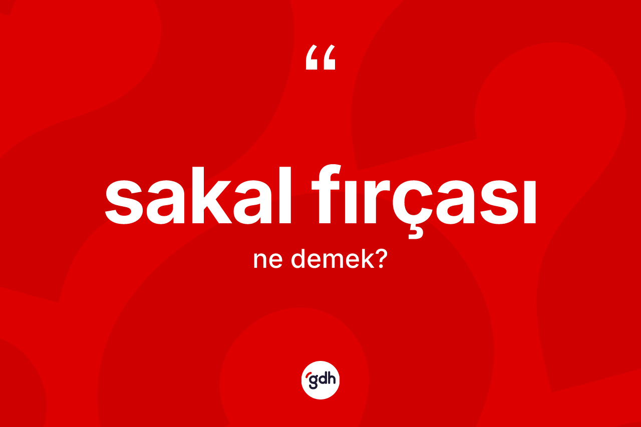 Sakal fırçası kelimesi nedir? Sakal fırçası kelimesinin özellikleri nelerdir?