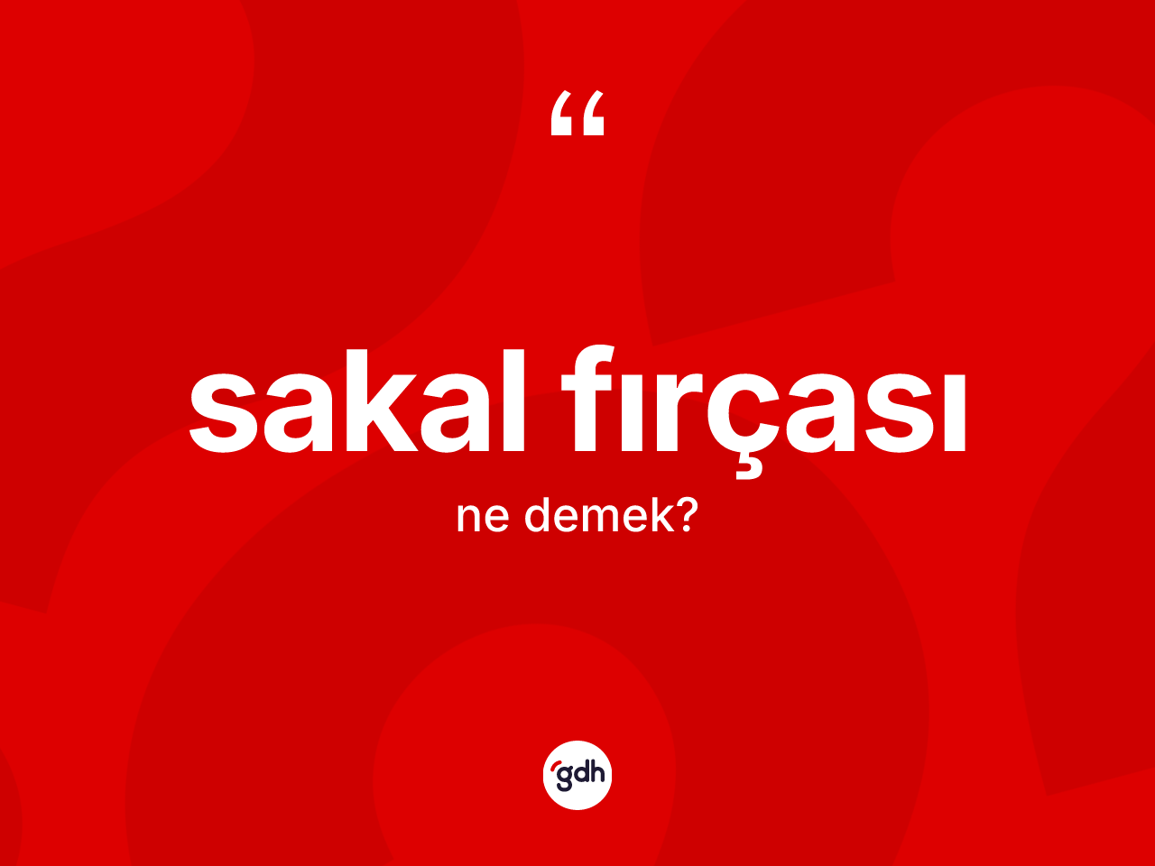 Sakal fırçası kelimesi nedir? Sakal fırçası kelimesinin özellikleri nelerdir?