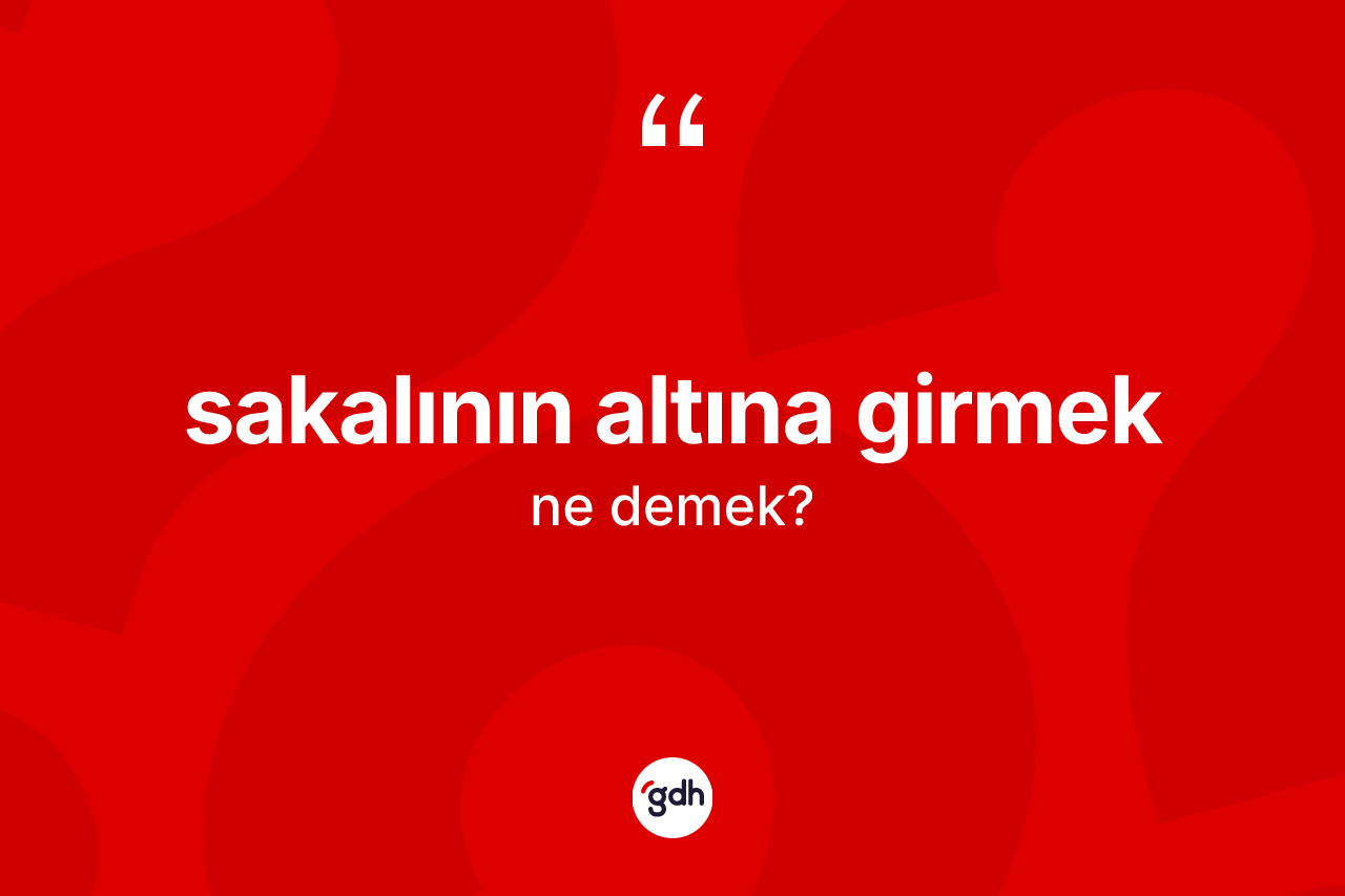 Sakalının altına girmek sözü nedir? Sakalının altına girmek ifadesinin özellikleri nelerdir?
