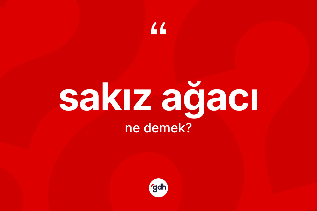Sakız ağacı kelimesi nedir? Sakız ağacının TDK'ya göre anlamı nedir?