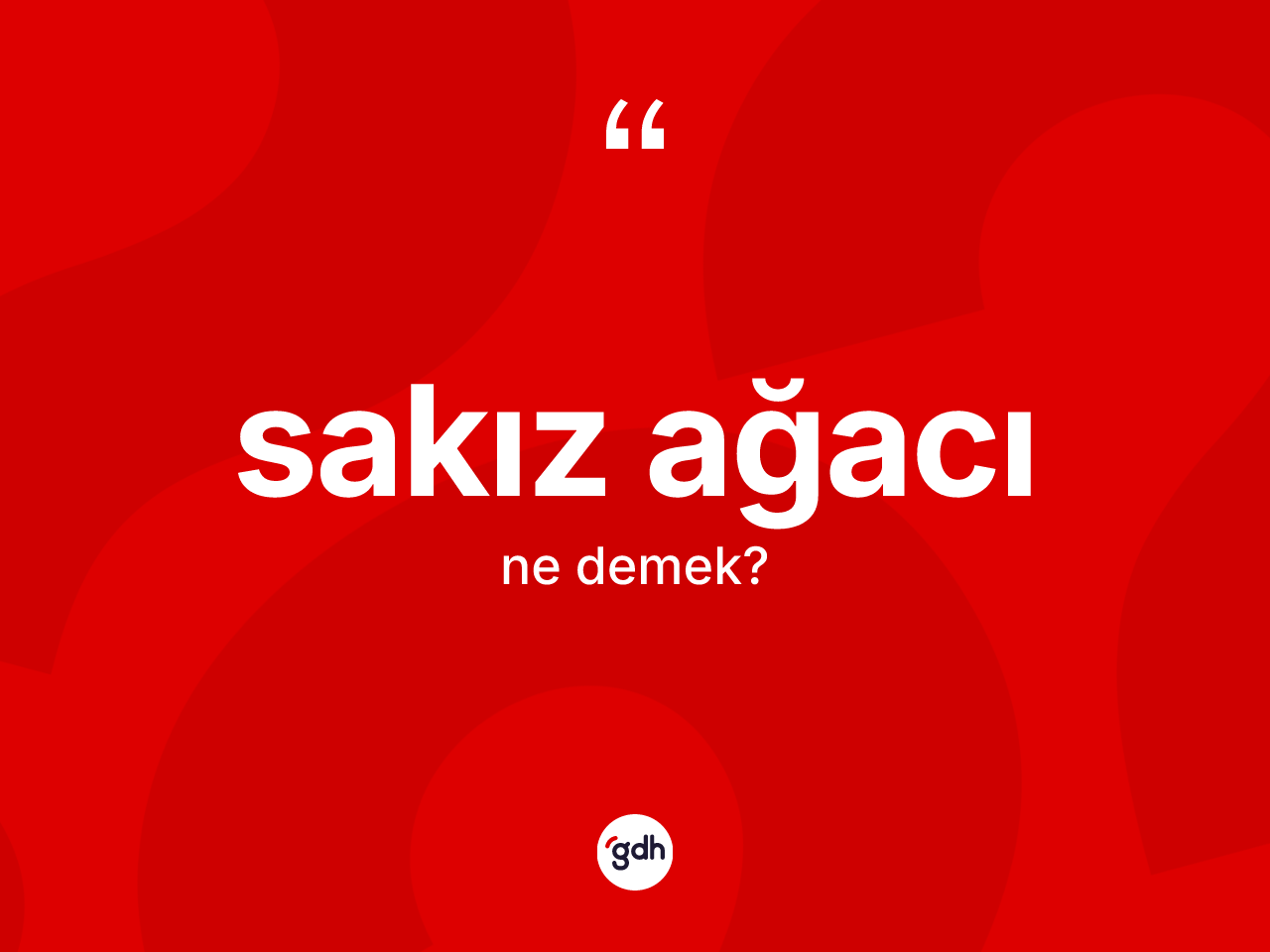 Sakız ağacı kelimesi nedir? Sakız ağacının TDK'ya göre anlamı nedir?