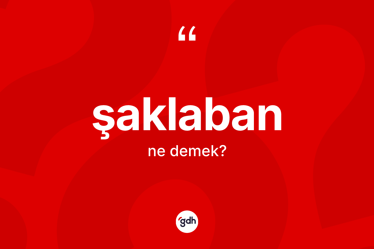 Şaklaban kelimesinin tanımı nedir? Şaklabanın halk arasındaki kullanımı nasıldır?