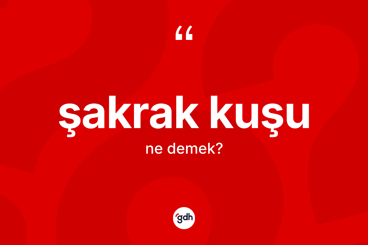Şakrak kuşu kelimesinin tanımı nedir? Şakrak kuşunun TDK'ya göre anlamı nedir?