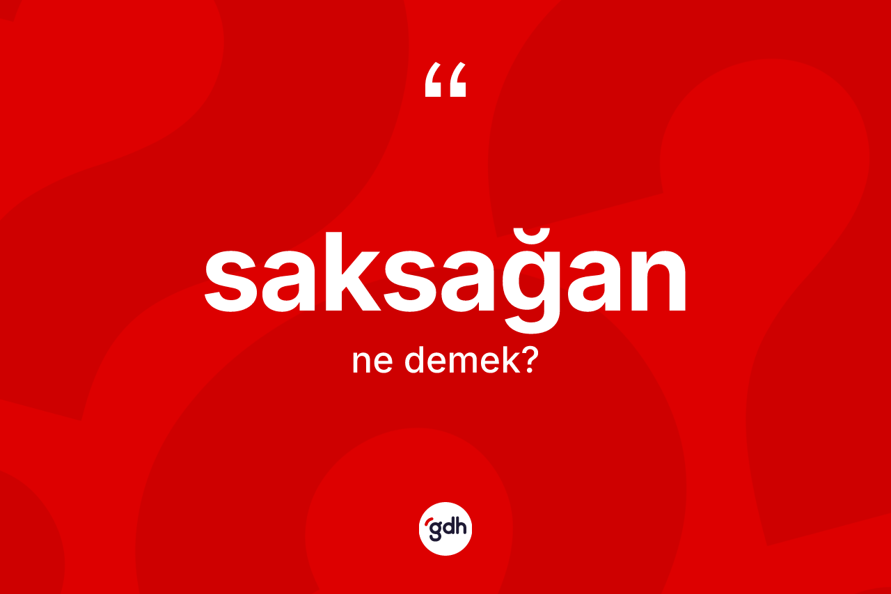 Saksağan ne anlama gelir? Saksağanın kısaca tanımı nedir?