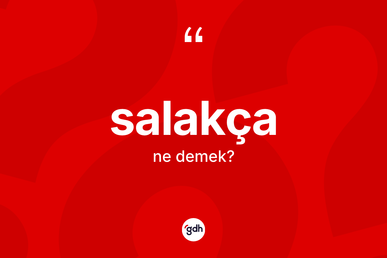 Salakça kelimesinin sözlükteki tanımı nedir? Salakçanın kısaca tanımı nedir?