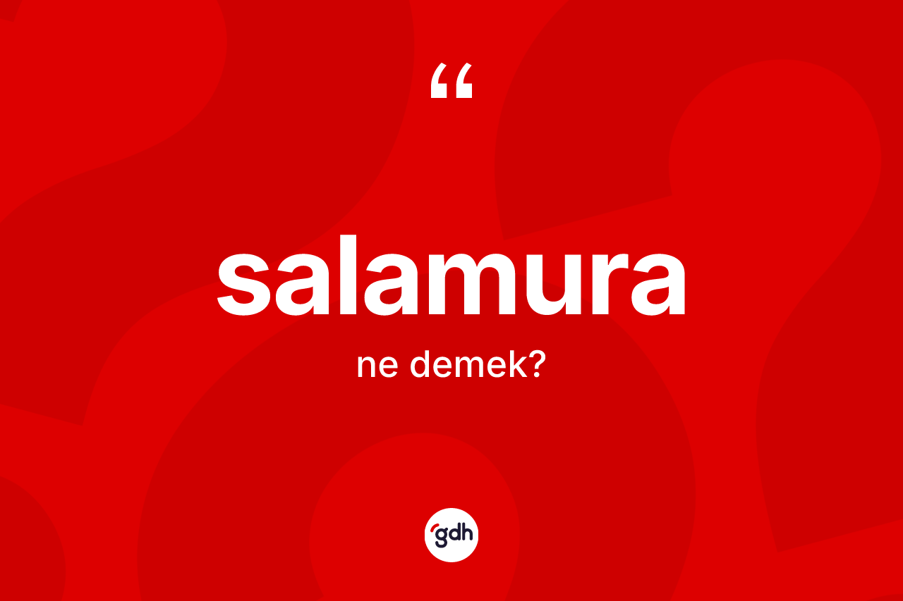 Salamura kelimesinin sözlükteki tanımı nedir? Salamura kelimesinin özellikleri nelerdir?