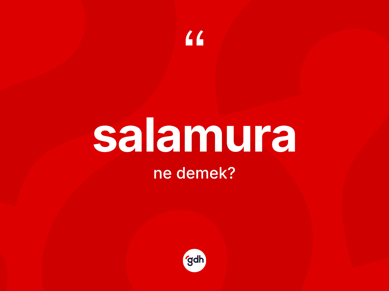Salamura kelimesinin sözlükteki tanımı nedir? Salamura kelimesinin özellikleri nelerdir?