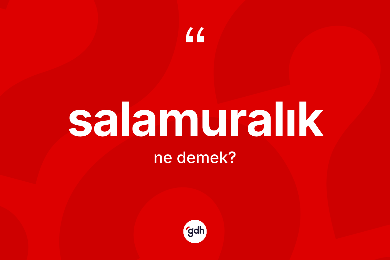 Salamuralık kelimesinin anlamı nedir? Salamuralığın sözlükteki anlamı nedir?