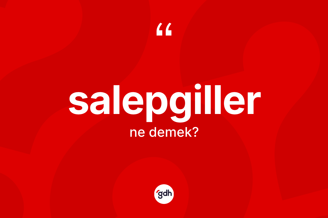 Salepgiller kelimesinin sözlükteki tanımı nedir? Salepgillerin kısaca tanımı nedir?