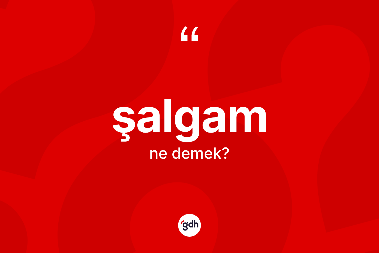 Şalgam kelimesi nedir? Şalgamın kısaca tanımı nedir?