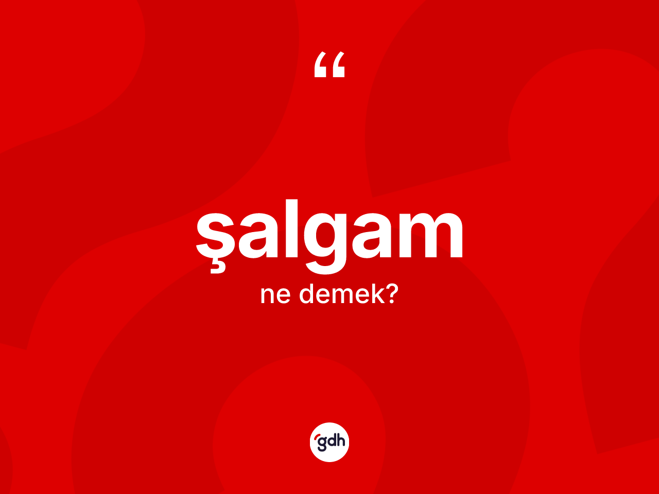 Şalgam kelimesi nedir? Şalgamın kısaca tanımı nedir?