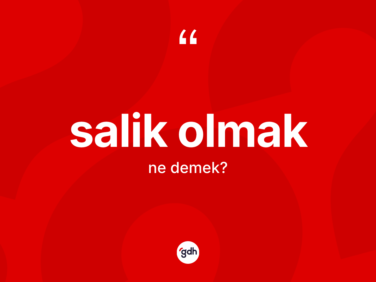 Salik olmak ifadesinin sözlükteki anlamı nedir? Salik olmak ifadesinin kaç farklı anlamı var?